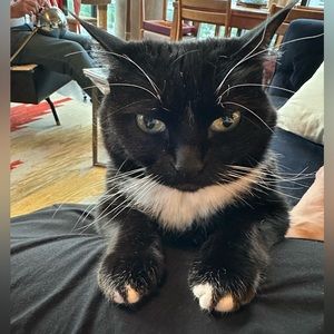 Meet your Posher, Heather